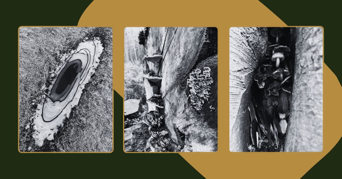 Are historical ‘witches’ still being misrepresented?